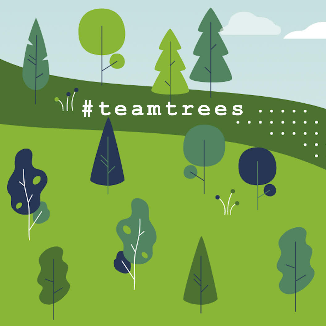 Team Trees Background